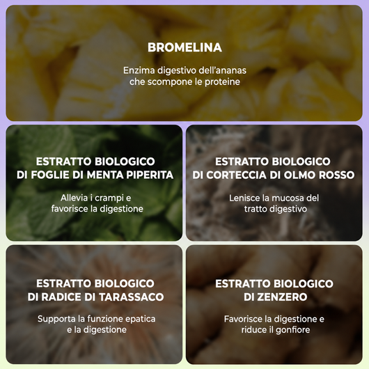 Bloat Relief Complex — ingredienti botanici