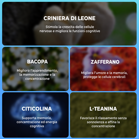 Memory Pro — ingredienti